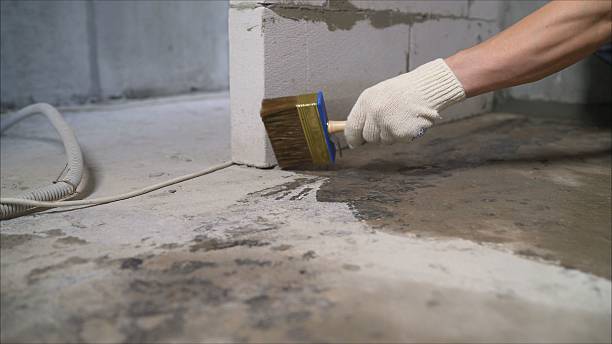 SJ Waterproofing Pros Waterproofing coverage map for Roan Mountain, TN and surrounding area